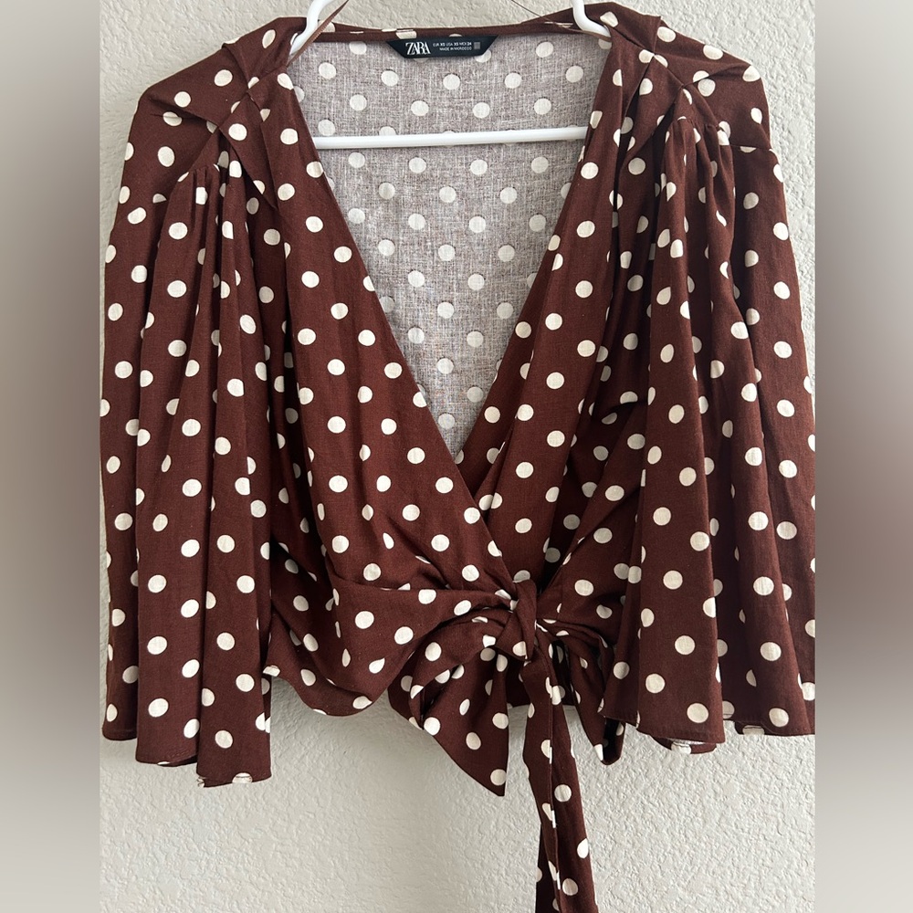 Zara Brown Polka Dot Blouse